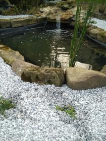 Bassin et cascade an pierre de meulière 3