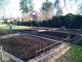 Aménagement potager 300m² (01)